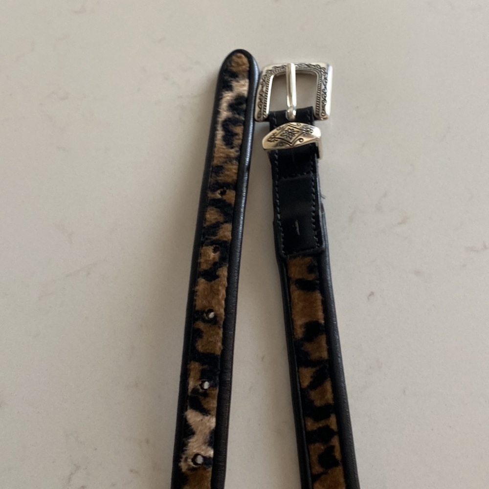 Brighton Belt